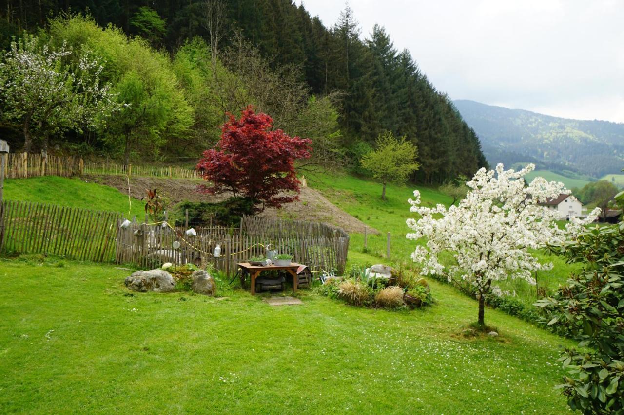 Hoellkopf - Stubenhof, Black Forest Simonswald Esterno foto