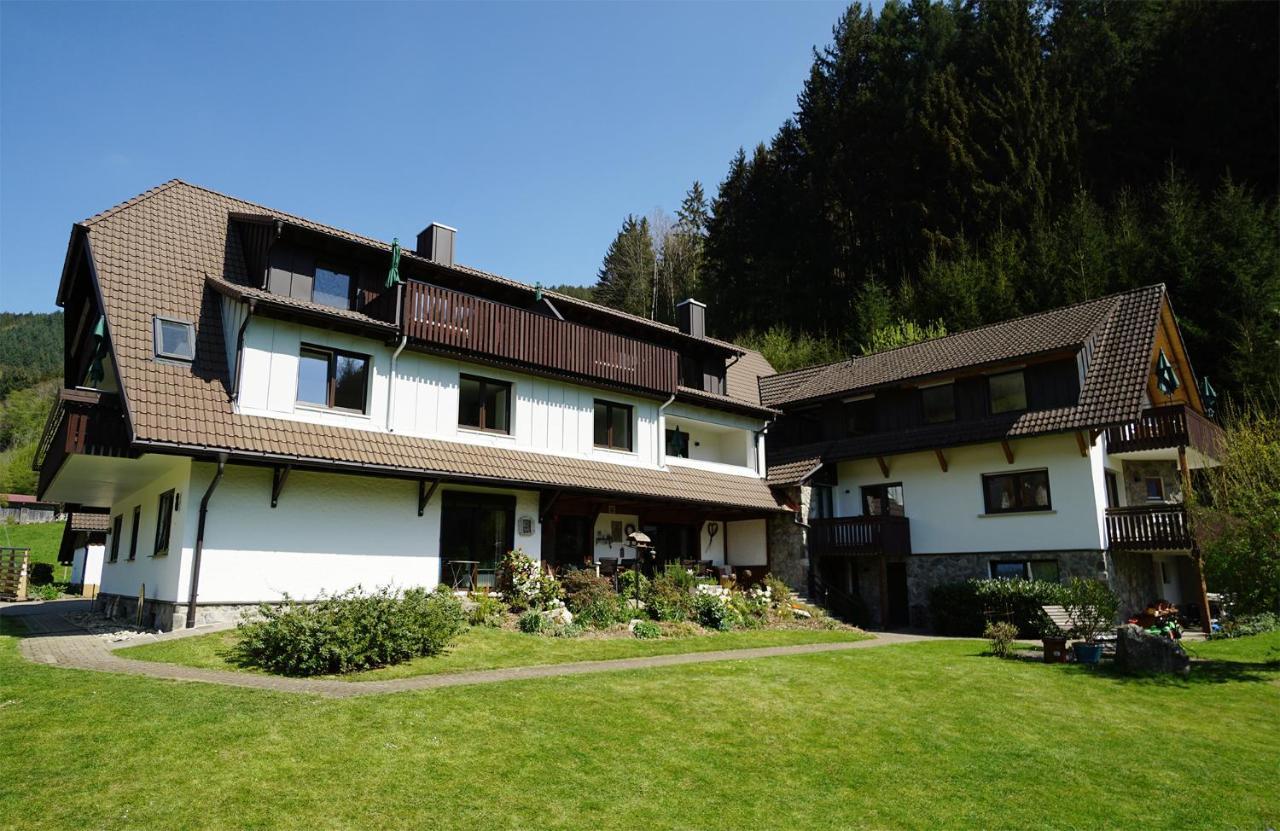 Hoellkopf - Stubenhof, Black Forest Simonswald Esterno foto